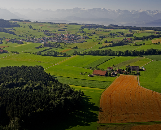 Weite Felder & Alpenblick